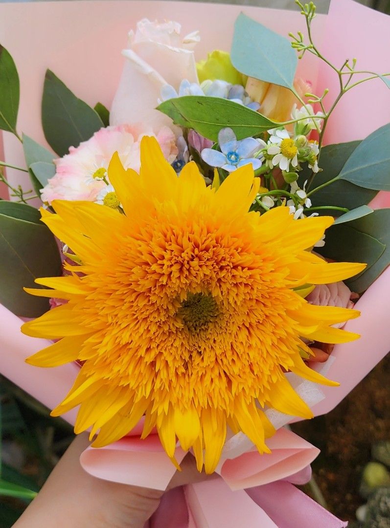 Fresh Flower Hand Bouquet - Sunflower - Graduation/Anniversary/Birthday/Celebration/Awards (Category: Flowers & Bouquets) located in Singapore. Submitted by cocobloom (Listing ID 1377675786, Image 3). Description: Bloom into someone’s day! Sunflower bouquet is suitable for all occasions such as graduation, appreciation, birthday and many more! Number of stalks: 1 stalk + 3 types of seasonal fillers - $30 (min 2 bouquet) 3 stalks + 3 types of seas