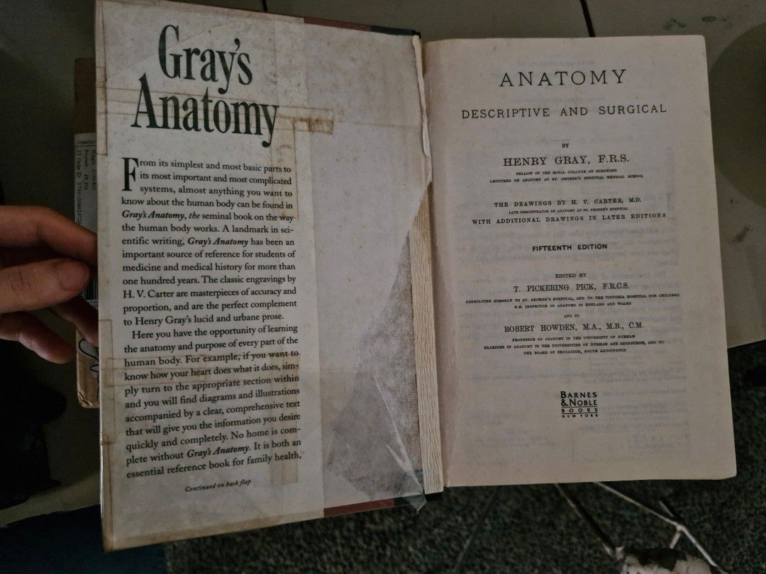 Gray's Anatomy (Category: Textbooks) located in Quezon City. Submitted by jcycle02 (Listing ID 1377657991, Image 3). Description: 15th edition.