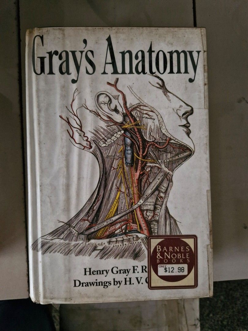 Gray's Anatomy (Category: Textbooks) located in Quezon City. Submitted by jcycle02 (Listing ID 1377657991, Image 1). Description: 15th edition.
