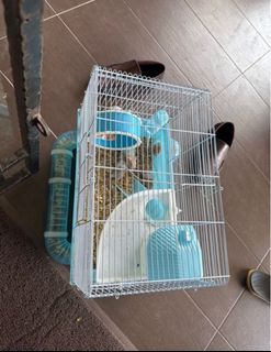 (Category: ) located in . Submitted by hanasabrina86 (Listing ID 1377584433, Image 1). Description: .