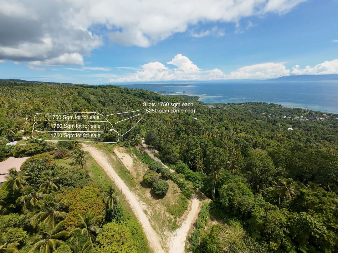 Jaw dropping Overlooking 1750 sqm for sale in Samal Island, Davao Del ...