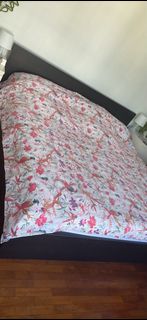 (Category: ) located in . Submitted by emmarondel34348 (Listing ID 1377692890, Image 1). Description: .