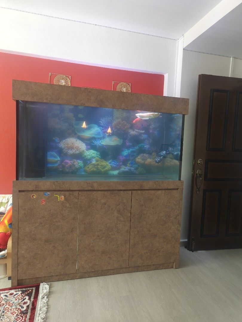 Fish tank 5ft (Category: Homes & Other Pet Accessories) located in Singapore. Submitted by nizamudeen27 (Listing ID 1377653330, Image 1). Description: Fish tank with cabinet. 5ftx2ftx2.5ft. Comes with sump tank, pump and 2x led lighting. Still in very good condition. Nego. Arrange your own transport or i can recommend you.