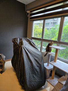 (Category: ) located in . Submitted by han0507 (Listing ID 1377669975, Image 1). Description: .