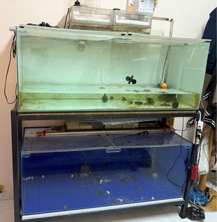 (Category: ) located in . Submitted by alishachew (Listing ID 1372856232, Image 1). Description: .
