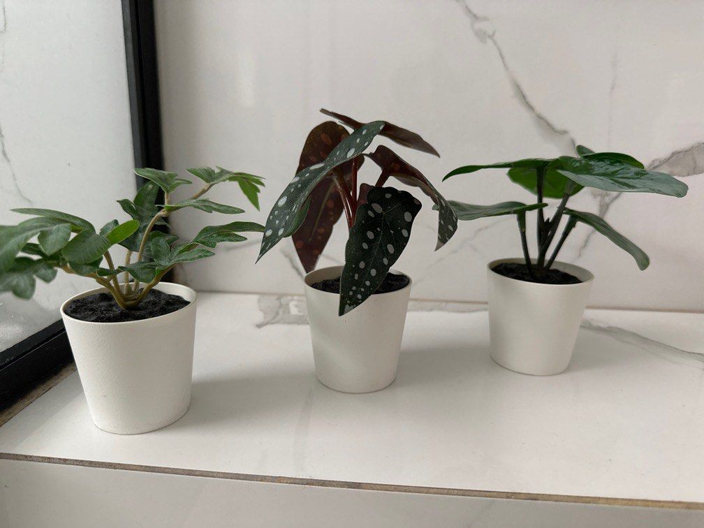 Artificial Plant