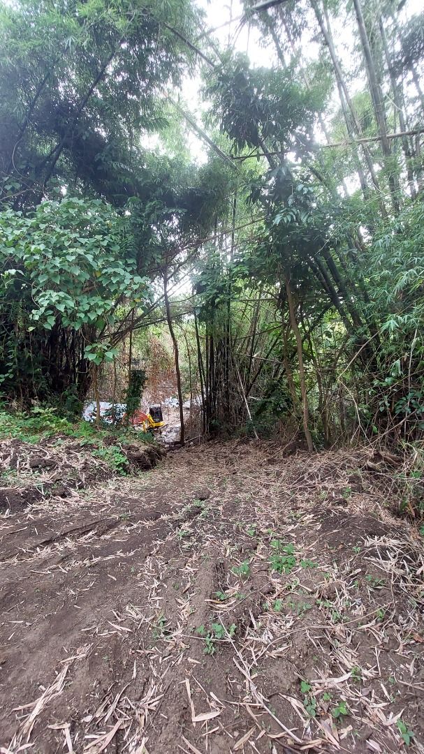 Farm Lot For Sale (Category: Lot) located in Caloocan City. Submitted by ronnelpen97729 (Listing ID 1307359230, Image 2). Description: Farm Lot 1.6 hectares with title Meron mga tanim na niyog at mangga Pwede magbabuyan Price : 800/sqm Location : https://maps.app.goo.gl/1smg3Ec9M6NPgXNT9?g_st=ac.