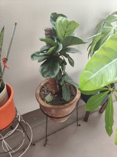 (Category: ) located in . Submitted by salessale (Listing ID 1372809726, Image 1). Description: .