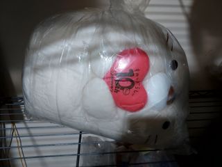 （分類：）位於 。 由 fgujjty 提交（商品編號 1377904666，圖片 1）。簡介： 。