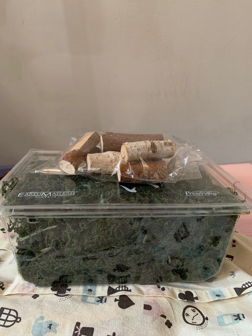 由 jsdgxm (刊登 ID 1377755040，圖片 2) 提交，位於 高雄市 (Kaohsiung) 的 綠色 苔草 水草 (類別：園藝工具和裝飾品)，說明：裝飾苔草、水草，染色苔草，泡水會有綠色染料顏色，用途看個人 苔草一盒+少量樺木枝。
