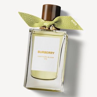 （分類：）位於 。 由 luxurybid 提交（商品編號 1377879178，圖片 1）。簡介： 。