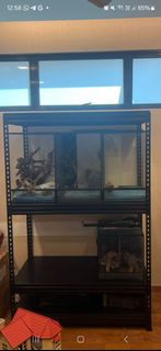 (Category: ) located in . Submitted by minneapolis (Listing ID 1377799352, Image 1). Description: .