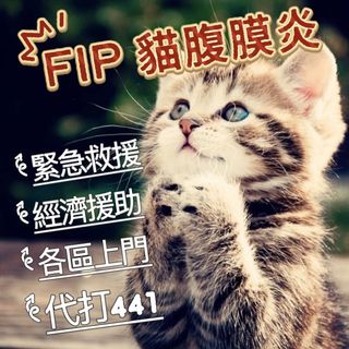 （分類：）位於 。 由 441forcat 提交（商品編號 1377760766，圖片 1）。簡介： 。