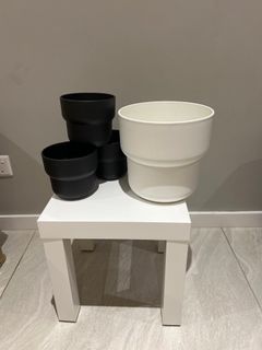 (Category: ) located in . Submitted by caddyv (Listing ID 1377879974, Image 1). Description: .