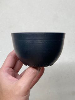 TOKY 望月薫 Jasugan Sidewinder セット ORIGINAL POT “Jasugan” | 多肉植物・特別な鉢の販売 | トーキー