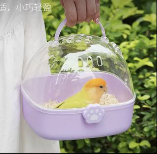 （分類：）位於 。 由 BabyBeautyshop 提交（商品編號 1372936093，圖片 1）。簡介： 。