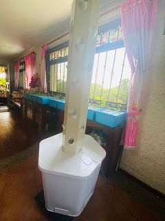 (Category: ) located in . Submitted by iloveplantdecor (Listing ID 1372885686, Image 1). Description: .
