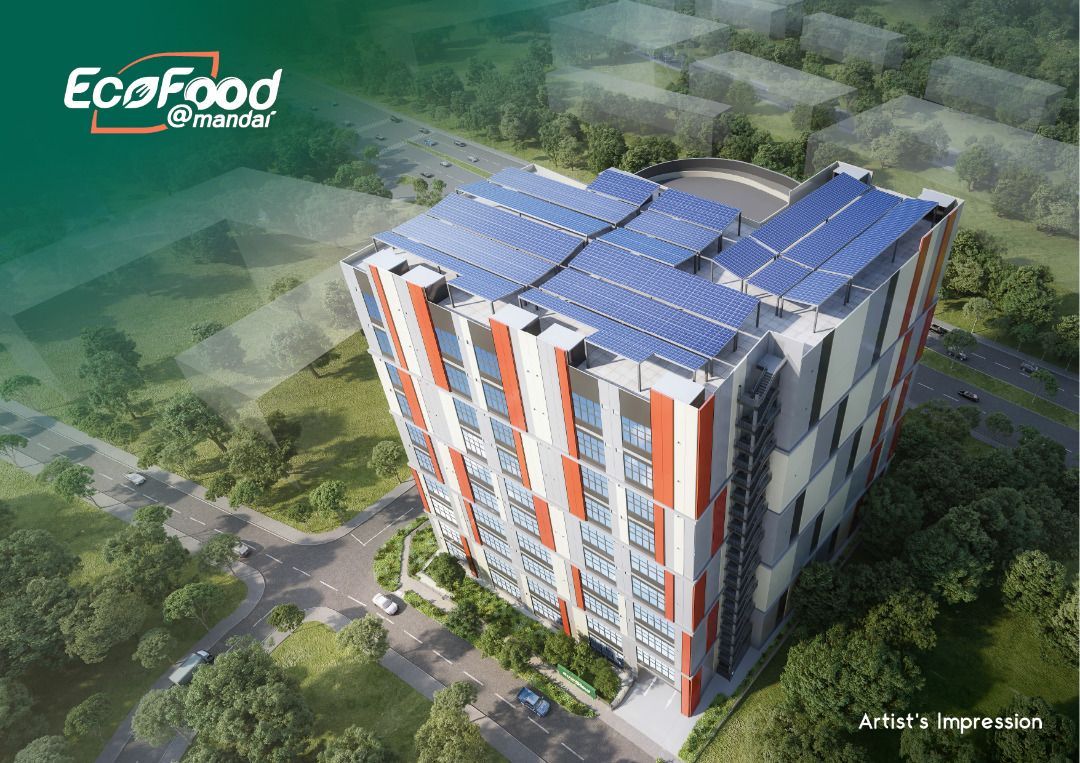 Ecofood62863836282882113