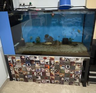 (Category: ) located in . Submitted by zaxck (Listing ID 1373034753, Image 1). Description: .