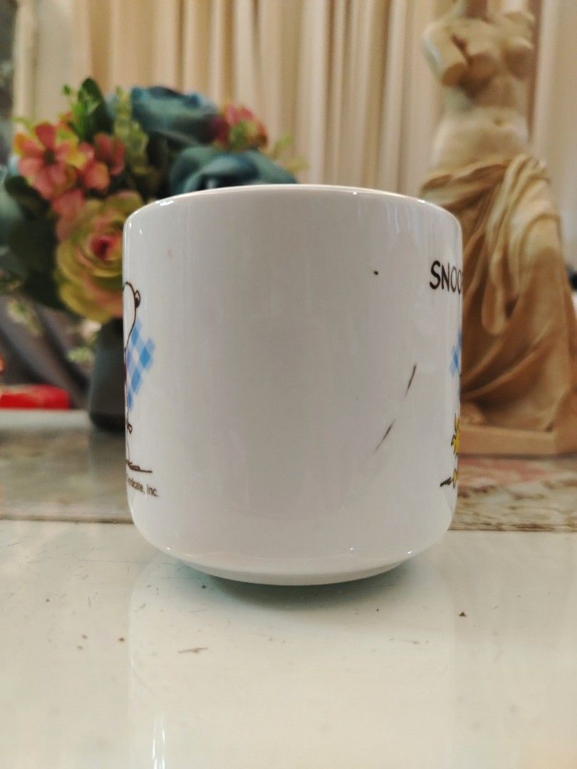 Peanuts Snoopy Blue Checkered Mug (Category: Coffee & Tea Tableware) located in San Fernando. Submitted by jpmarketplace2023 (Listing ID 1372946008, Image 2). Description: 💚 All items are authentic from Japan. 💛 MOP: GCash (❌️ GCash Protect) 🩵 MOD: LBC only (❌️ S. Checkout, COD, COP) 💙 Meet-up: Vista Mall, San Fernando, Pampanga 💜 All items are on-hand. 🧡 First to pay gets the item first. ❤️ Breakable items are packed with care and caution.