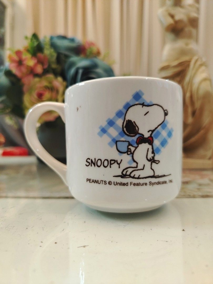 Peanuts Snoopy Blue Checkered Mug (Category: Coffee & Tea Tableware) located in San Fernando. Submitted by jpmarketplace2023 (Listing ID 1372946008, Image 3). Description: 💚 All items are authentic from Japan. 💛 MOP: GCash (❌️ GCash Protect) 🩵 MOD: LBC only (❌️ S. Checkout, COD, COP) 💙 Meet-up: Vista Mall, San Fernando, Pampanga 💜 All items are on-hand. 🧡 First to pay gets the item first. ❤️ Breakable items are packed with care and caution.