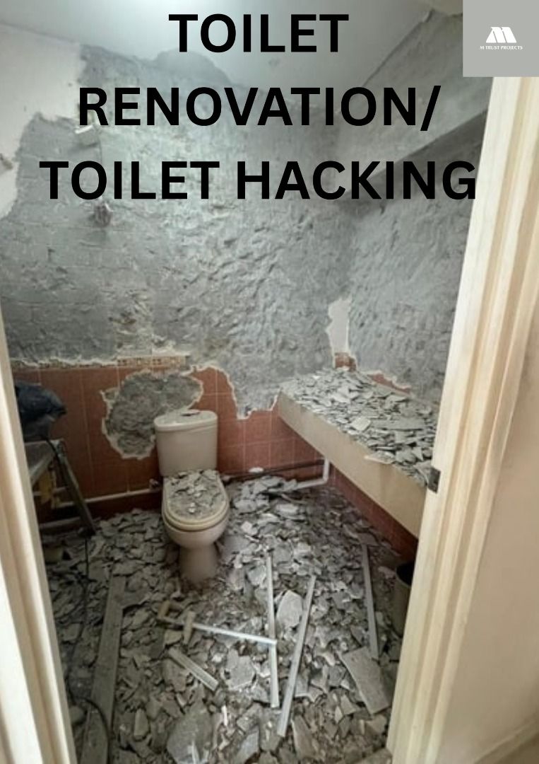 TOILET RENOVATION/TOILET HACKING628630760656661125