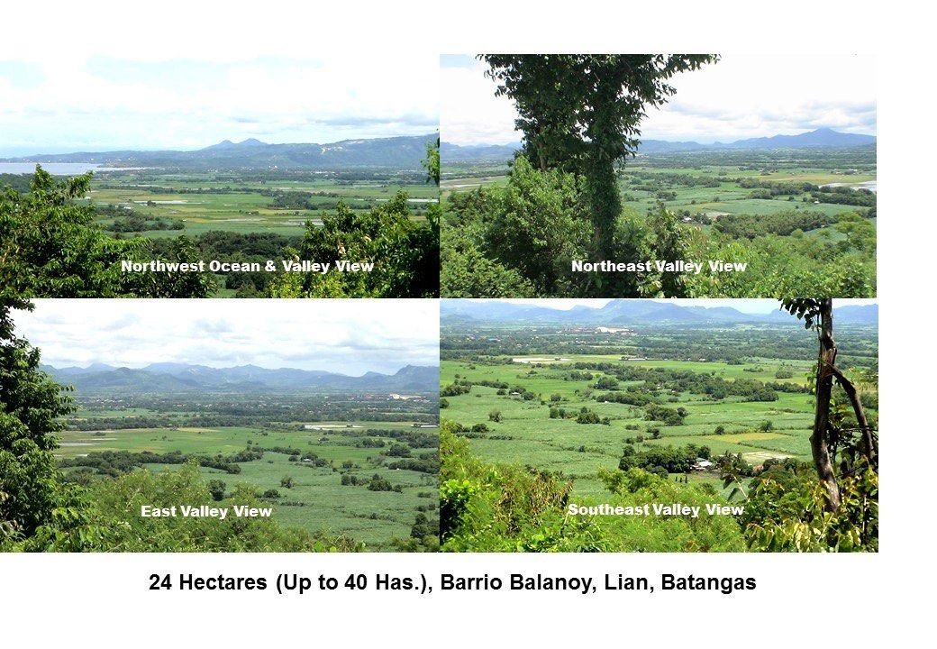 38 has in Lian (Category: Lot) located in Manila. Submitted by rosalitar.legarda (Listing ID 1373125668, Image 1). Description: 38 has of agr lot on a flat to rolling landscape planted with sugar and mangoes. For sale at 1000/ sqm .