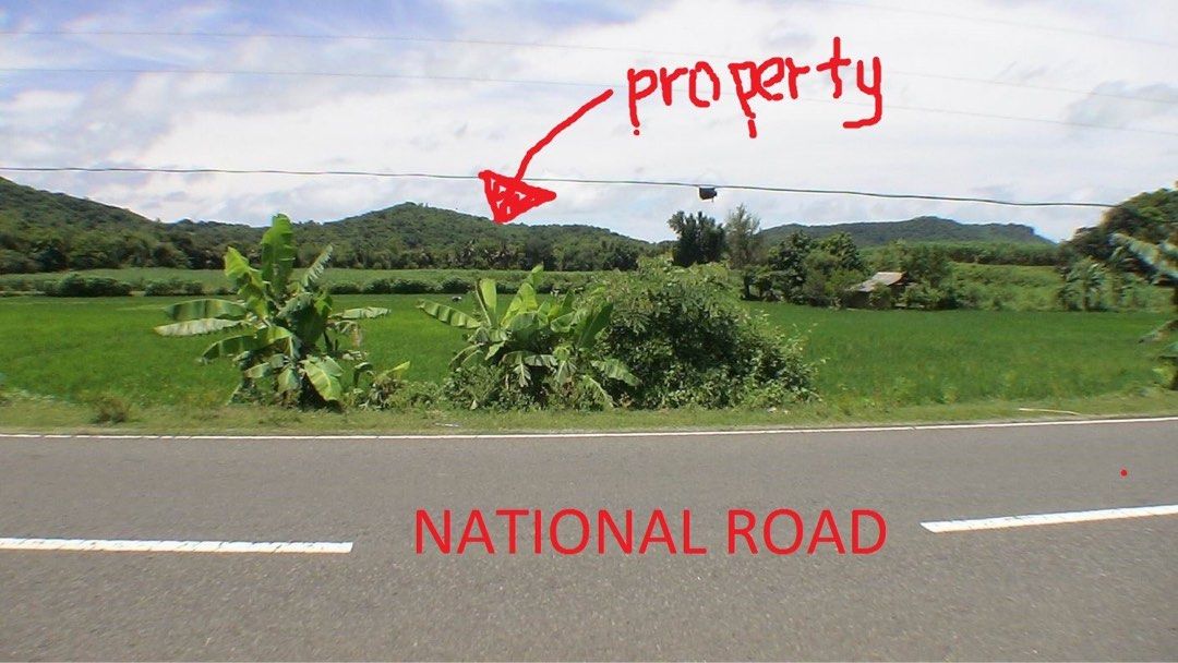 38 has in Lian (Category: Lot) located in Manila. Submitted by rosalitar.legarda (Listing ID 1373125668, Image 2). Description: 38 has of agr lot on a flat to rolling landscape planted with sugar and mangoes. For sale at 1000/ sqm .