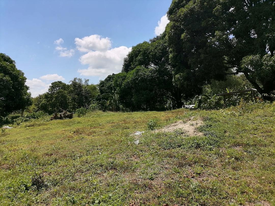 (Category: ) located in . Submitted by israel.malonzo (Listing ID 1199163353, Image 1). Description: .