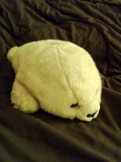 (Category: ) located in . Submitted by jiijuu (Listing ID 1373127921, Image 1). Description: .