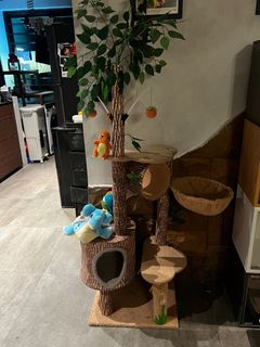 (Category: ) located in . Submitted by cieroure (Listing ID 1373187356, Image 1). Description: .