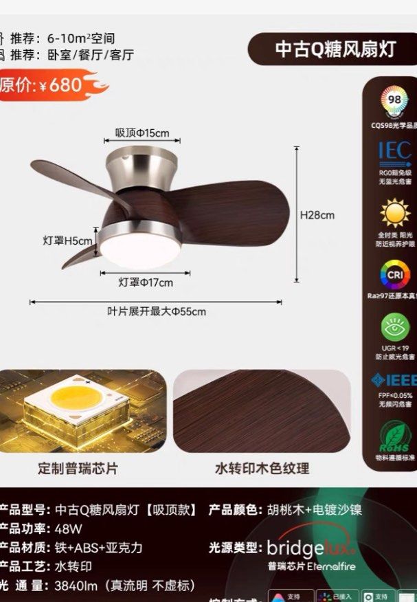 Stylish Ceiling Light Fan