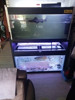 (Category: ) located in . Submitted by don64616 (Listing ID 1373185377, Image 1). Description: .