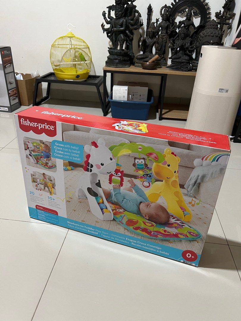 Fisher price play gym