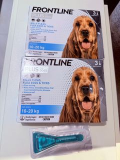 （分類：）位於 。 由 a.zure_ 提交（商品編號 1373115333，圖片 1）。簡介： 。