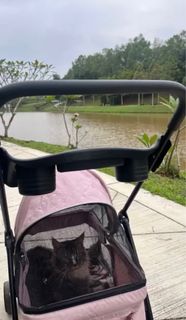 (Category: ) located in . Submitted by abbell (Listing ID 1373157749, Image 1). Description: .