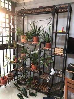 (Category: ) located in . Submitted by zenosisx (Listing ID 1373153688, Image 1). Description: .