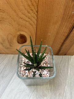 (Category: ) located in . Submitted by cheryl_yee (Listing ID 1373066791, Image 1). Description: .