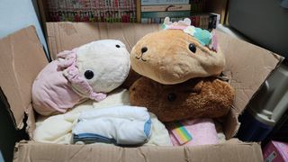(Category: ) located in . Submitted by chewroonyee (Listing ID 1373348886, Image 1). Description: .