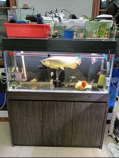 (Category: ) located in . Submitted by kee5934 (Listing ID 1373367015, Image 1). Description: .