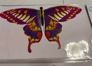 (Category: ) located in . Submitted by qinglloi (Listing ID 1373369034, Image 1). Description: .
