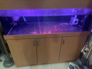 (Category: ) located in . Submitted by anba92 (Listing ID 1373243312, Image 1). Description: .