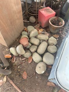 (Category: ) located in . Submitted by jnjcue (Listing ID 1373274306, Image 1). Description: .