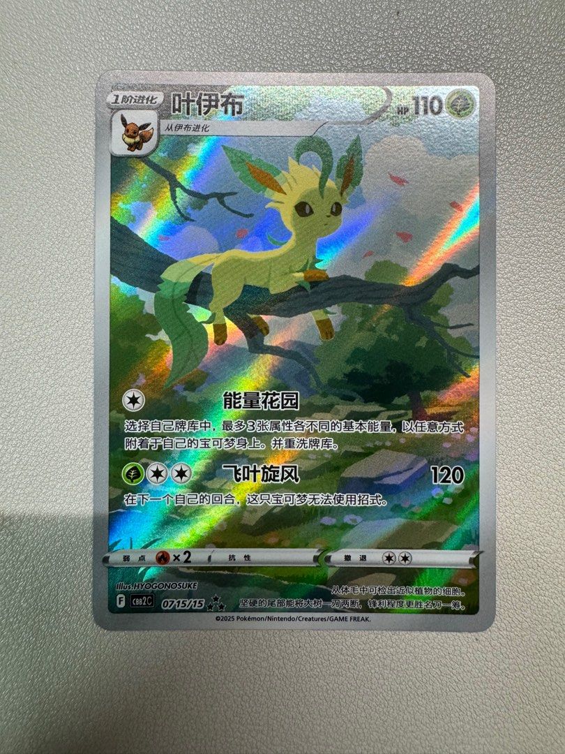 Pokemon Card 寶石包Vol.2簡中葉伊布AR, 興趣及遊戲, 玩具& 遊戲