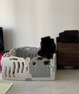 (Category: ) located in . Submitted by miamsg (Listing ID 1373228310, Image 1). Description: .
