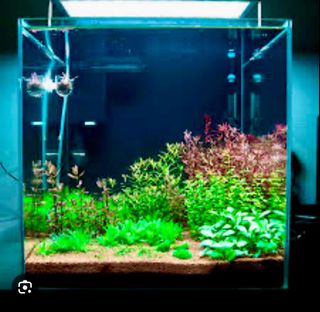 (Category: ) located in . Submitted by shakoon (Listing ID 1373398103, Image 1). Description: .