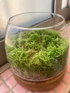 （分類：）位於 。 由 park44 提交（商品編號 1373426421，圖片 1）。簡介： 。