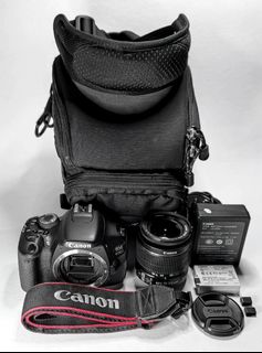 (Category: ) located in . Submitted by cyrin_camera (Listing ID 1373403868, Image 1). Description: .