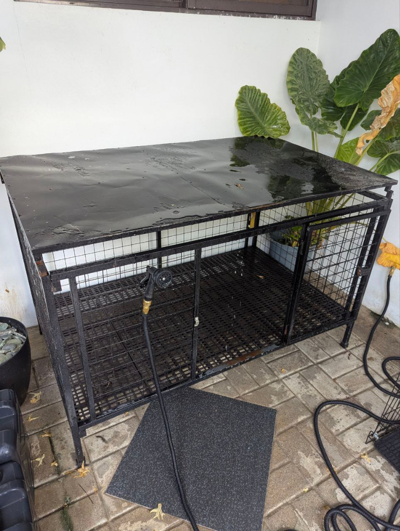 Dog Cage and Water Tanks, Pet Supplies, Homes & Other Pet Accessories ...