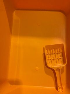 (Category: ) located in . Submitted by hello_its_n (Listing ID 1373438779, Image 1). Description: .